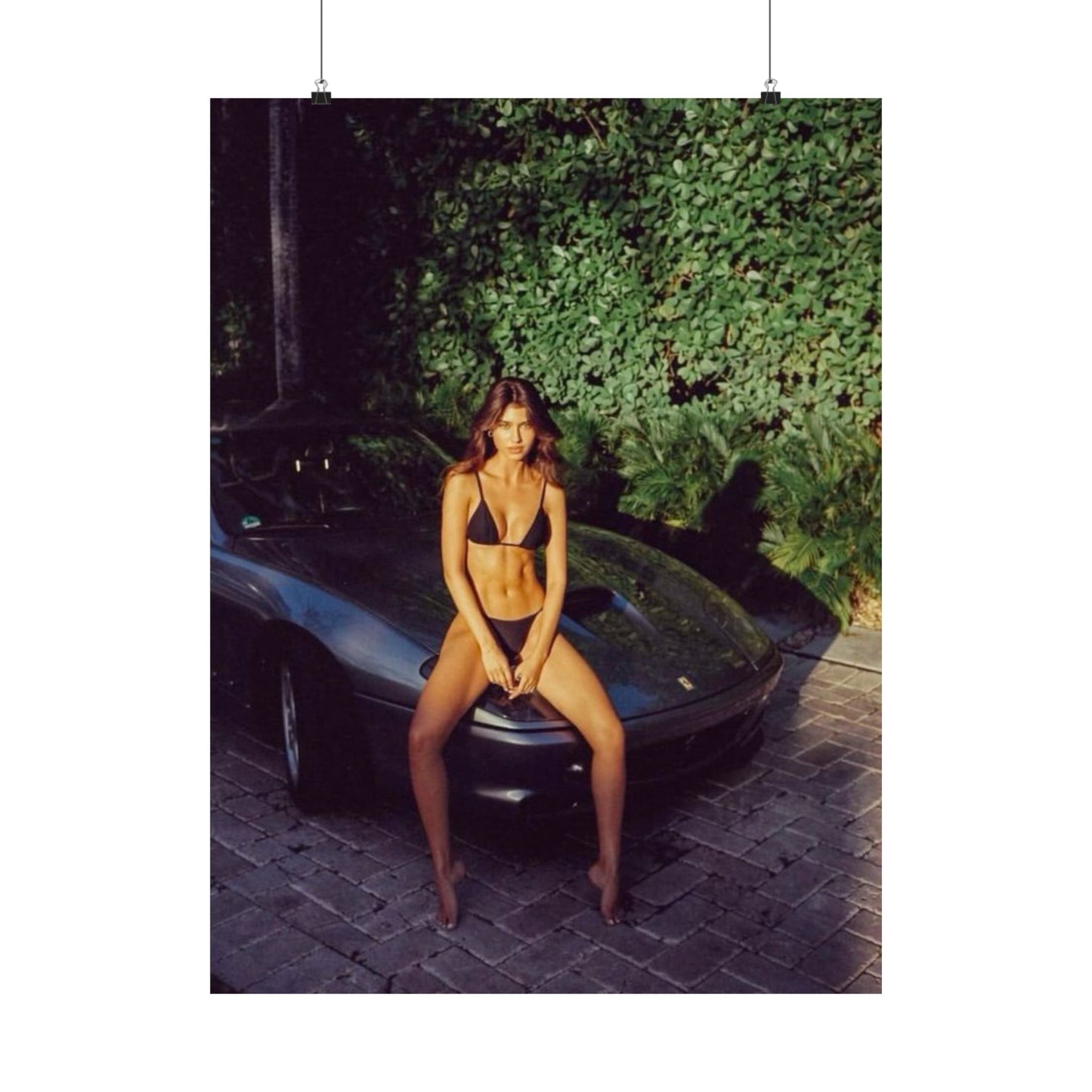 Ferrari Chick Poster